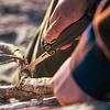 Leatherman Wave Alpha in Action