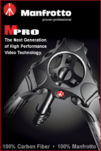 MPRO Carbon Videostativ mit 75mm Halbschale, 4 Segmente