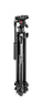 290 Light Alu Stativ mit Befree Fluid Videokopf, 3 Segmente