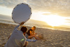 HaloCompact Reflektor, 82cm, Sunlite/Soft Silver