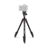 Compact Action