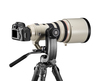 Gitzo Fluid-Gimbal-Stativkopf