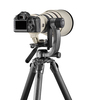 Gitzo Fluid-Gimbal-Stativkopf