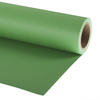 Paper 2.72 x 11m Leaf Green